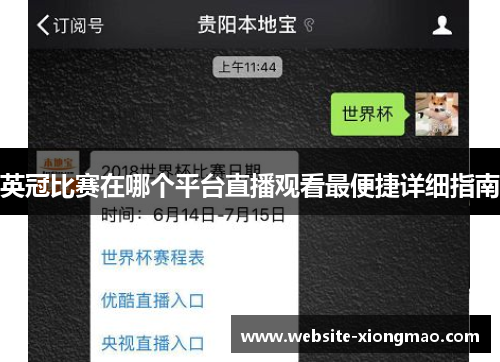 英冠比赛在哪个平台直播观看最便捷详细指南