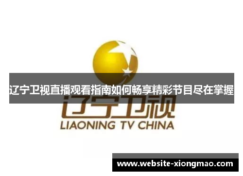辽宁卫视直播观看指南如何畅享精彩节目尽在掌握
